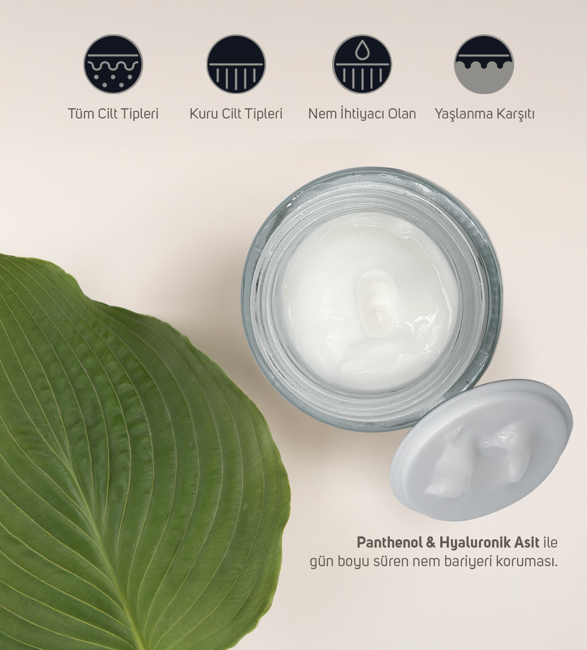 EMΟNIA Glow Anti Aging Cream (50 ml) EMΟNIA Glow Anti Aging Cream (50 ml)